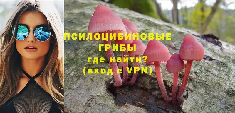 Псилоцибиновые грибы Psilocybe  гидра ССЫЛКА  Кириллов 